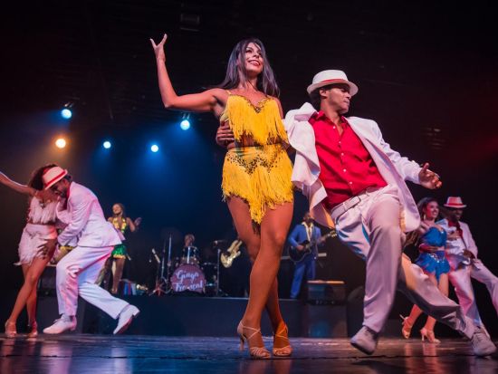 ジンガ・トロピカル カーニバルショー鑑賞ツアー　ブラジルの伝統ダンスで酔いしれるカーニバルな夜＜英語ガイド／送迎付きプランあり／リオ・デ・ジャネイロ発＞