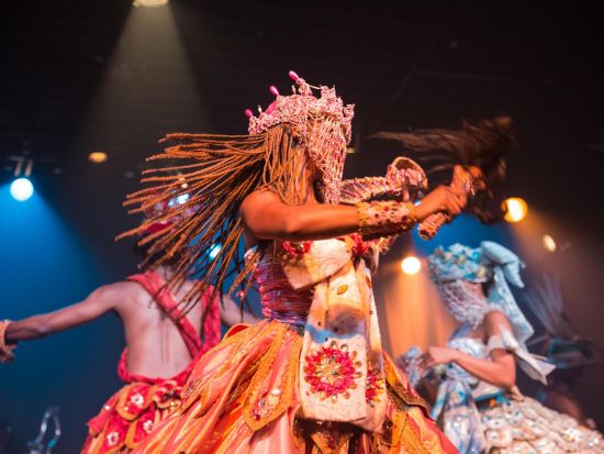 ジンガ・トロピカル カーニバルショー鑑賞ツアー　ブラジルの伝統ダンスで酔いしれるカーニバルな夜＜英語ガイド／送迎付きプランあり／リオ・デ・ジャネイロ発＞