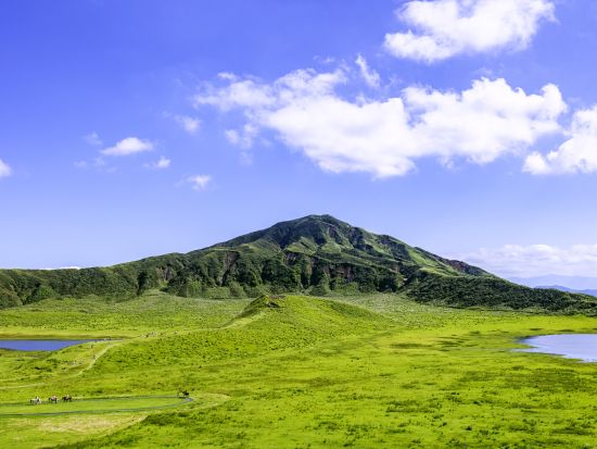 【阿蘇駅周辺または黒川温泉発／阿蘇着】貸切観光タクシー阿蘇の絶景満喫コース 草千里＋阿蘇山火口＋白川水源＋阿蘇神社＋阿蘇の郷土料理　選べる降車地＜約5時間～＞