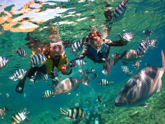 【沖縄/恩納村】青の洞窟体験シュノーケリング  写真&動画プレゼント◎専属ガイドの案内で泳ぎが苦手な方も初心者も安心◎＜餌あげ無料／恩納村発＞