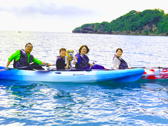 【愛犬連れOK】マングローブカヤック体験　アクセス良好な比謝川で愛犬とマングローブを満喫　生き物観察やパワースポット・ガジュマルの木もご案内＜2時間／嘉手納町＞