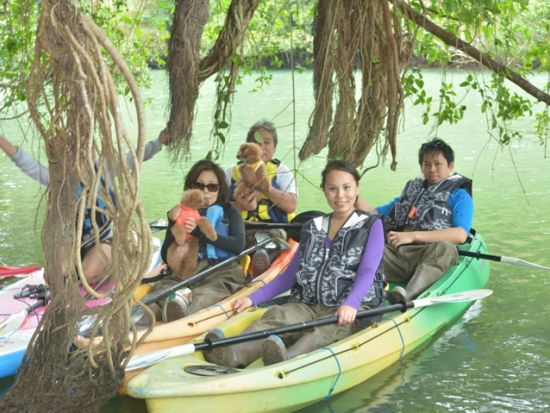 【愛犬連れOK】マングローブカヤック体験　アクセス良好な比謝川で愛犬とマングローブを満喫　生き物観察やパワースポット・ガジュマルの木もご案内＜2時間／嘉手納町＞