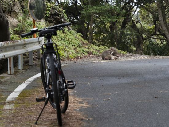 レンタサイクル予約サービス　電動アシスト付きスポーツ自転車で坂道も楽々走行＜1～3日間＞by Lotus Cycle