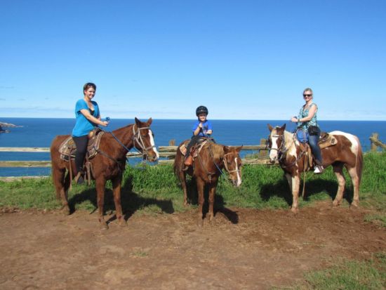 乗馬ツアー　ワイへエ渓谷を巡り、ハレアカラ山頂も望む＜午前・午後／英語ガイド＞