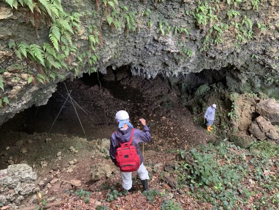 エコツアーガイドと行く奇岩・遺跡・史跡巡り めがね岩やムシロ瀬など徳之島固有の地形と歴史を堪能＜環境保全への貢献活動付き／1日＞ by NPO法人徳之島虹の会