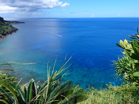 エコツアーガイドと行く奇岩・遺跡・史跡巡り めがね岩やムシロ瀬など徳之島固有の地形と歴史を堪能＜環境保全への貢献活動付き／1日＞ by NPO法人徳之島虹の会