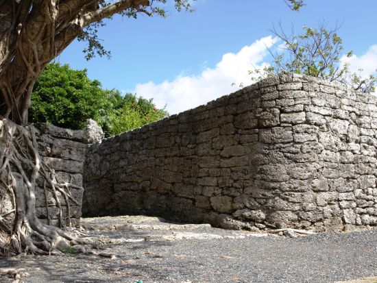 エコツアーガイドと行く奇岩・遺跡・史跡巡り めがね岩やムシロ瀬など徳之島固有の地形と歴史を堪能＜環境保全への貢献活動付き／1日＞ by NPO法人徳之島虹の会