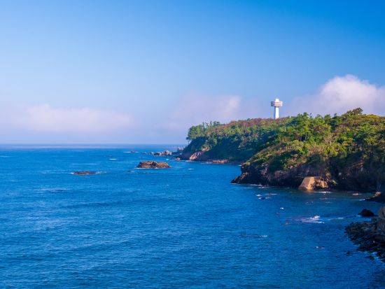 あわら温泉発日帰りバスツアー 東尋坊＋丸岡城＋永平寺 越前の定番観光スポット3か所を巡る＜土日祝運行／1日／金沢駅・芦原温泉駅・あわら湯のまち駅降車可＞