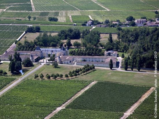 ボルドー格付けシャトー3軒訪問　ソーテルヌ・サンテミリオン・ポムロールワインツアー　9時間コース ＜試飲付き／日本語ドライバーガイド／ボルドー市内ホテル送迎可＞