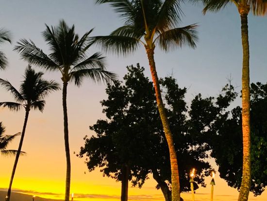 伝統ルアウ＆フラ ハワイアンショー　オールド・ラハイナ・ルアウ　海の前の絶景ロケーションでハワイのカルチャー体験！＜夕食／飲み放題／ウェルカムレイ付き＞ 