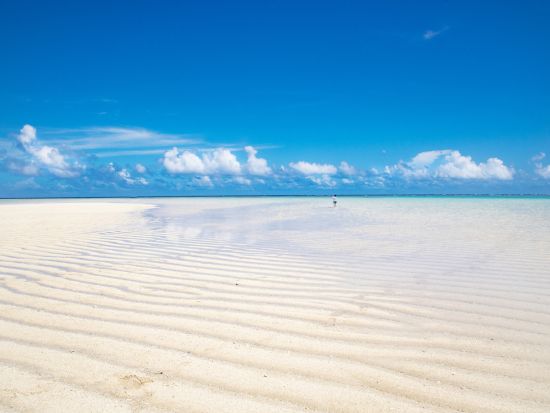 百合ヶ浜上陸ツアー ボートで奇跡の楽園へ！オプションでSUPレンタル可能 ＜大金久海岸発＞ byタンディーマリン