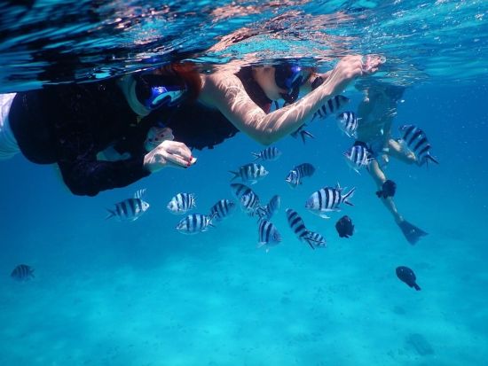 ジェットパック体験　空を飛びまわる新感覚マリンスポーツを体験！オプションにてシュノーケリングも可能＜10歳から参加OK／市街地ホテル送迎可＞