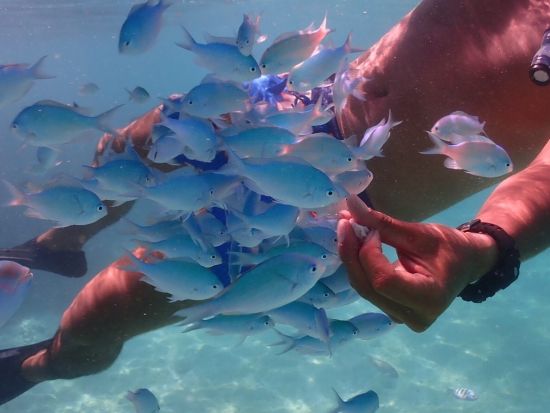 ジェットパック体験　空を飛びまわる新感覚マリンスポーツを体験！オプションにてシュノーケリングも可能＜10歳から参加OK／市街地ホテル送迎可＞