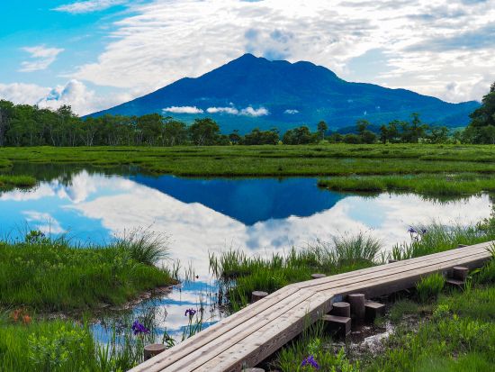 尾瀬ハイキング日帰りバスツアー ハイキング初級の方におすすめ水芭蕉の絶景と鳩待峠直行＆足湯体験＆群馬名物弁当付き＜5～6月／新宿発＞