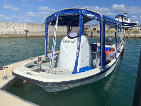 ジェットボードチャーター　最大8名！プライベート空間で美しい海を満喫　ウェイクボード・ジェットブレード・ジェットパックのオプションあり＜市街地ホテル送迎可＞