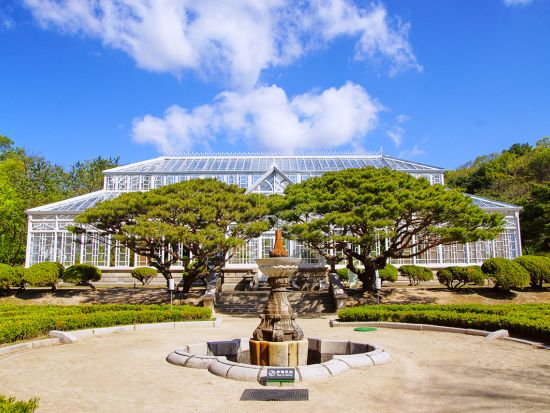 ソウル郊外観光ツアー　世界遺産 水原華城＋華城行宮　選べる名物グルメの昼食付き・伝統衣装体験付プラン＜午前・1日／日本語ガイド／ホテルお迎え付き＞