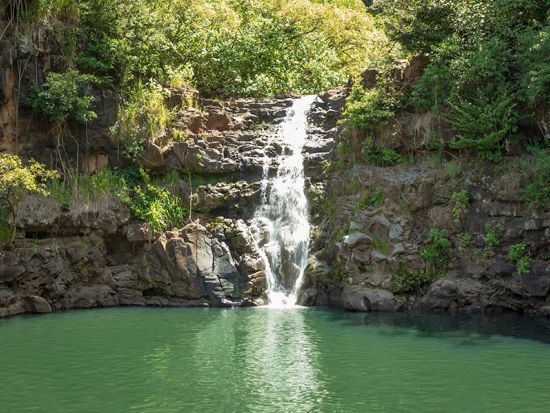 ノースショア（ハレイワ）観光　選べるアクティビティ（シュノーケル・カヤックなど）＜1日／ワイキキorアウラニ・ディズニー・リゾート＆スパ発＞