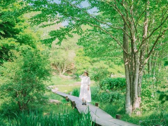 ROKKO森の音ミュージアム（旧：六甲オルゴールミュージアム） 入場チケット 事前予約 自然と音を楽しみながら癒やしのひとときを＜神戸市＞