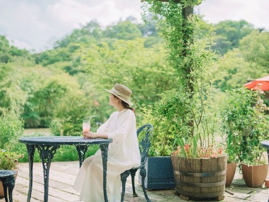 ROKKO森の音ミュージアム（旧：六甲オルゴールミュージアム） 入場チケット 事前予約 自然と音を楽しみながら癒やしのひとときを＜神戸市＞