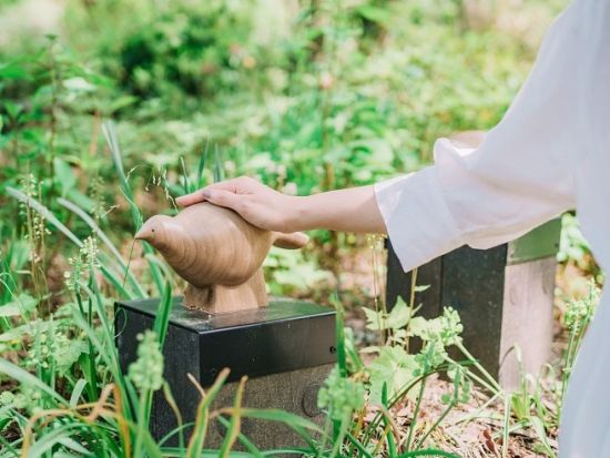 ROKKO森の音ミュージアム（旧：六甲オルゴールミュージアム） 入場チケット 事前予約 自然と音を楽しみながら癒やしのひとときを＜神戸市＞