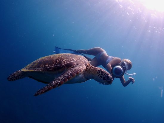 スキンダイビング（素潜り）体験　インスタ映えバッチリの水中写真プレゼント付き！＜少人数制／市街地ホテル送迎無料／石垣島発＞by ファウスト石垣島