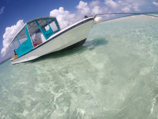 スキンダイビング（素潜り）体験　インスタ映えバッチリの水中写真プレゼント付き！＜少人数制／市街地ホテル送迎無料／石垣島発＞by ファウスト石垣島