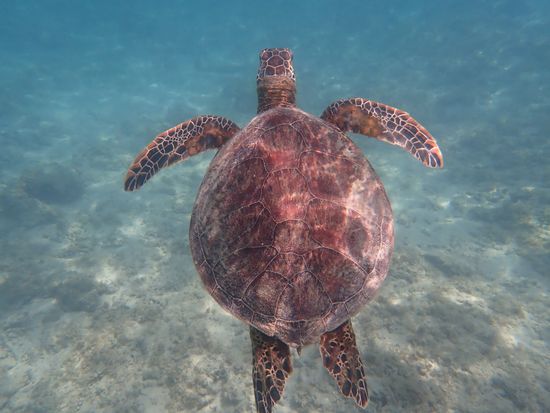 1YXYhy3Y_plan_image_7