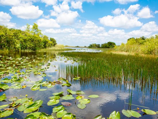USA_Florida_Everglades National Park_shutterstock_551715508.jpg