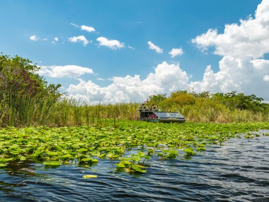 世界遺産 エバーグレーズ国立公園　エアボート乗船＆アリゲーターショー鑑賞ツアー ＜半日／日本語ドライバーガイド＞