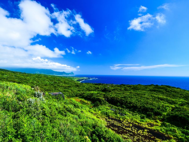 Japan_Izu & Ogasawara Islands_Hachijojima_pixta_73243087_M