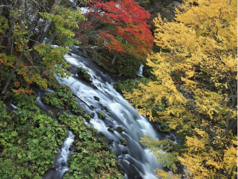 送迎タクシープラン　 たんちょう釧路空港⇔阿寒湖温泉ホテル  ＜通年／1時間／最大9名／釧路空港・阿寒湖温泉ホテル発着＞by阿寒ハイヤー