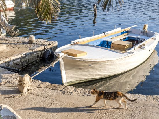ムリェト島 国立公園 1日観光ツアー＜6月～9月／英語／ドブロヴニク発＞
