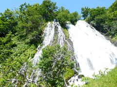 pixta_56572884_M
