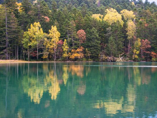 1日貸切観光タクシー 阿寒湖から行く！自然の神秘を感じられるツアー オンネトー+神の子池+摩周湖+硫黄山 ＜8時間／6～11月／阿寒湖温泉発着＞by阿寒ハイヤー