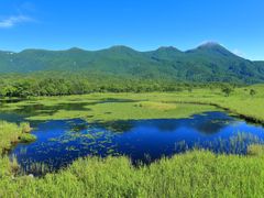 pixta_78375956_M