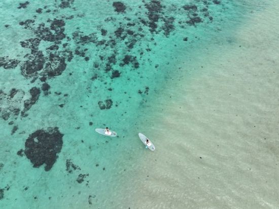 クリアSUP体験　海の上を歩いているような感覚を味わえると話題のクリアSUPで透明度抜群の石垣の海を満喫！ドローン撮影付き！貸切プランあり＜2時間／石垣市北部＞