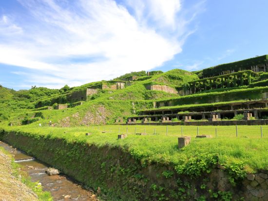 佐渡島 レンタカー予約サービス 両津港ターミナルの目の前で受渡しOK＜24・48・72時間レンタル／車種：軽自動車～ワゴン＞by TOKIレンタカー