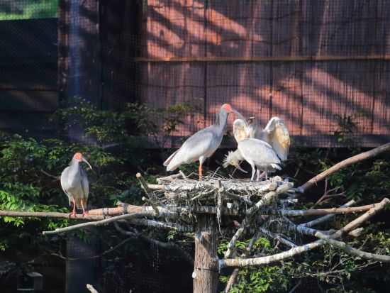 佐渡島 レンタカー予約サービス 両津港ターミナルの目の前で受渡しOK＜24・48・72時間レンタル／車種：軽自動車～ワゴン＞by TOKIレンタカー