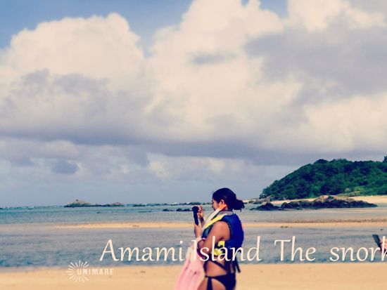 奄美大島でシュノーケリング！ウミガメと一緒に海の冒険（半日 or 1日）＜笠利町＞by 奄美大島ウェルネス&アドベンチャーUNIMARE