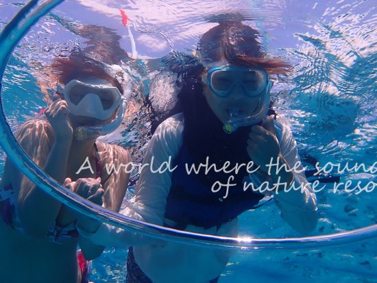 奄美大島でシュノーケリング！ウミガメと一緒に海の冒険（半日 or 1日）＜笠利町＞by 奄美大島ウェルネス&アドベンチャーUNIMARE