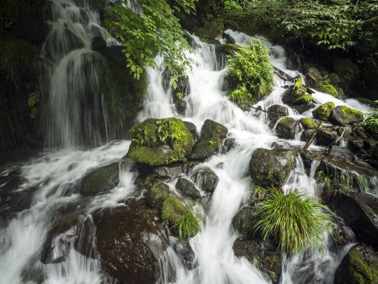 鹿児島市内発着貸切観光タクシー　日本百名山・霧島山の豊富な水を巡る旅　4つの水力発電所や大出水の湧水、霧島神水峡へ＜7～7.5時間＞