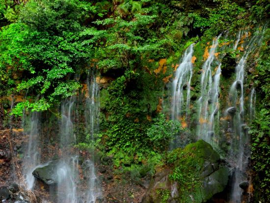 霧島市内発着貸切観光タクシー　日本百名山・霧島山の豊富な水を巡る旅　4つの水力発電所＋霧島最古の岩風呂＋犬飼滝などへご案内＜5時間＞