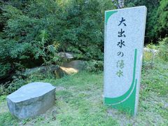 Japan_Kagoshima_Odemizu(大出水の湧水)_pixta_70139835_XL