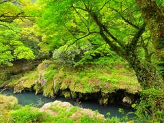 Japan_Kagoshima_Arakawakeikoku(新川渓谷)_pixta_67670104_XL