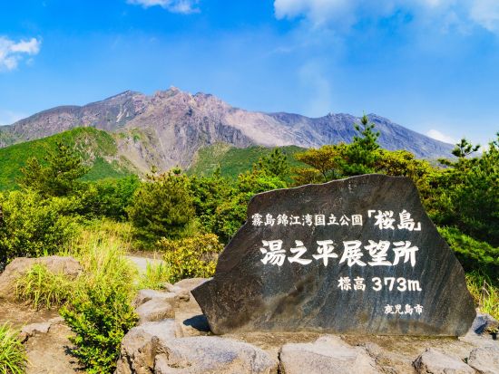 鹿児島市内発着貸切観光タクシー　市内観光＆桜島コース　仙厳園＋湯之平展望所＋黒神埋没鳥居＋桜島溶岩なぎさ公園など　＜5～5.5時間＞