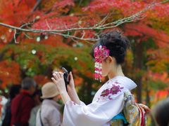 Japan_Kyoto_Kimono_shutterstock_339289043
