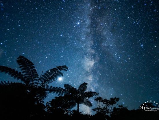 【星空撮影経験者向け】星空撮影ロケーションガイド　プロのフォトグラファーが星空撮影スキルを伝授！少人数制ツアー＜三脚レンタル無料＞