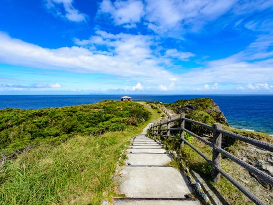 座間味島ウォーキングツアー　自然観察と絶景の広がる3つの山歩きコース＜2時間～／座間味島＞