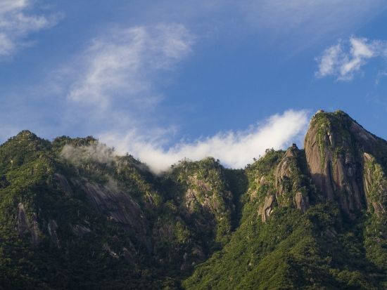 モッチョム岳日帰りトレッキングツアー　ロープ場ありの急登登山！樹齢3,000年の万代杉や海岸線の絶景を楽しめる＜宮之浦～平内エリア送迎可＞by屋久島ガイド山好き