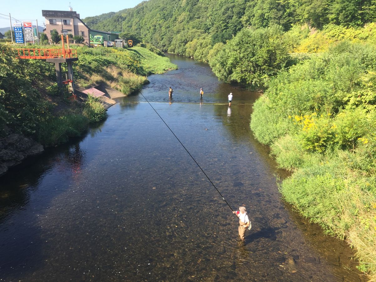 手ぶらで 天然 鮎の友釣り体験 受賞歴もある美味しい朱太川の鮎